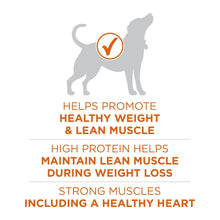 Dry dog food label promoting healthy weight, lean muscle, and strong muscles