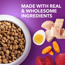 Dry dog food ingredients collage with kibble bowl, chicken chunks, egg, and carrots