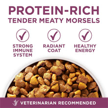 Kibble in round cutout on dry dog food bag with protein-rich benefit icons
