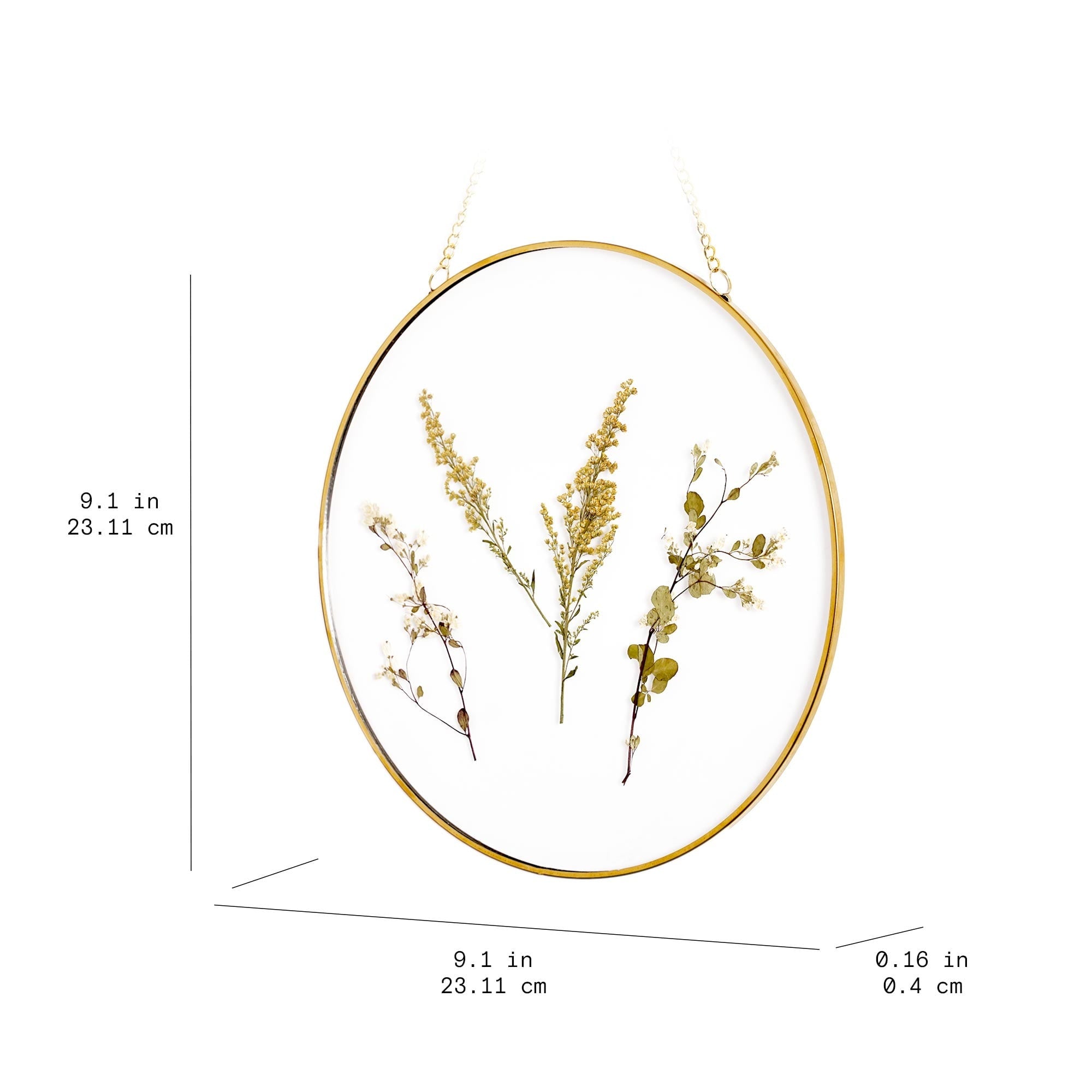 (3 pack) Mainstays Hanging Gold Circular Framed Glass Dried Pressed Floral Wall Decor, 9x9