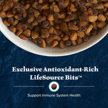 Bowl filled with brown dry dog food kibble with small circular pieces