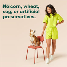 Jinx grain-free wet dog food infographic stating no corn, wheat, soy, or artificial preservatives
