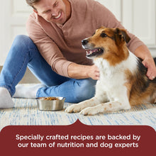 Adult dog lying beside bowl of dry food while man pets dog indoors