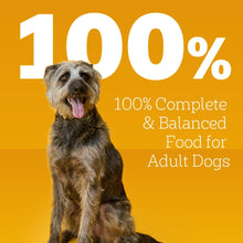 Wet dog food 100% complete & balanced for adult dogs, dog portrait with tongue out