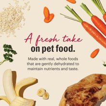Whole foods dehydrated dog food concept with carrots, greens, banana, and cooked chicken