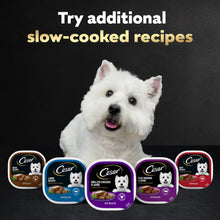 Dog beside multiple Cesar slow-cooked recipe wet food trays