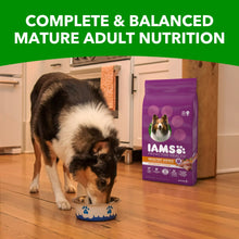 IAMS Proactive Health dry dog food bag with adult dog eating from bowl