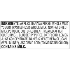 bettergoods Apple Banana Blueberry Yogurt & Oats Fruit Applesauce Pouches, 3.17 oz, 10 Count