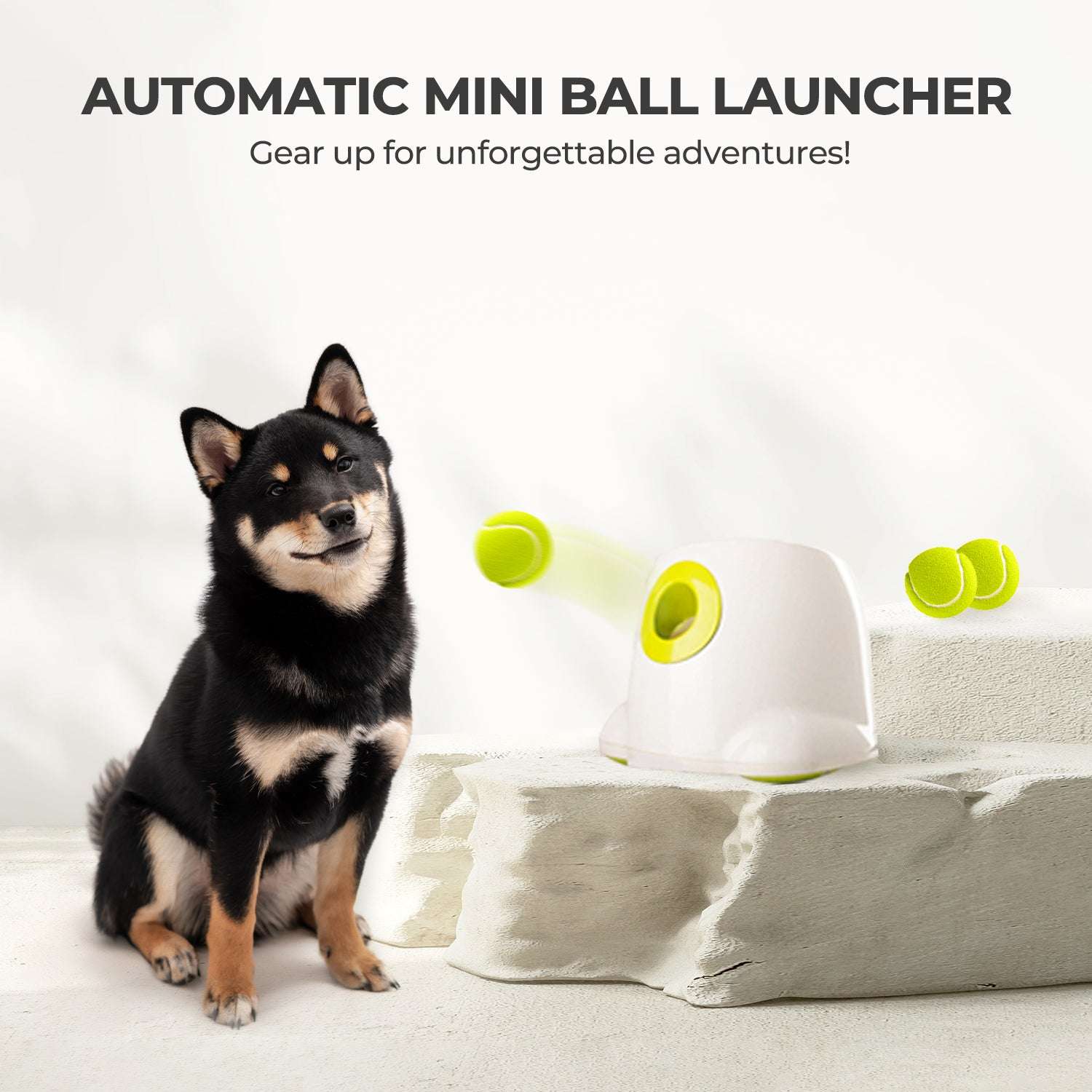 All For Paws Automatic Tennis Ball Launcher for Small to Medium Sized Dogs, 3 Balls Included, Mini