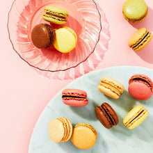 Assorted macarons on two plates with mixed flavors in pastel shells