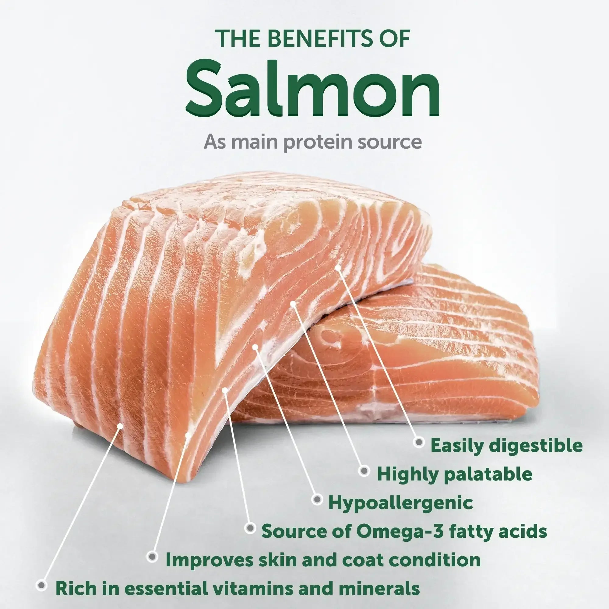 Nature's Protection Superior Care Grain Free Salmon Dry Dog Food, All Breed All Life Stages, 22 lb Bag - USA MEGA SHOP
