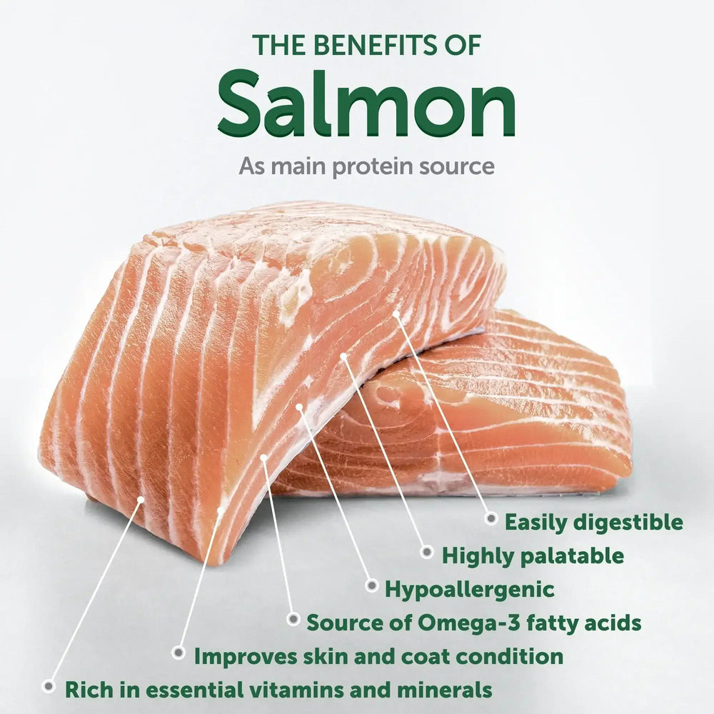 Nature's Protection Superior Care Grain Free Salmon Dry Dog Food, All Breed All Life Stages, 22 lb Bag - USA MEGA SHOP
