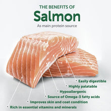 Salmon dry dog food benefits graphic with salmon fillet and ingredient callouts