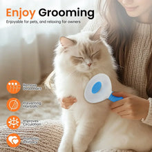 Pet deshedding brush with blue handle, used on a white cat during grooming