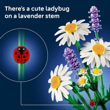 Daisy building model close-up with ladybug on a lavender stem and white daisy blooms
