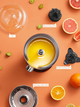 Citrus juicer components: juicing cones, stainless steel filter, and clear pulp tray