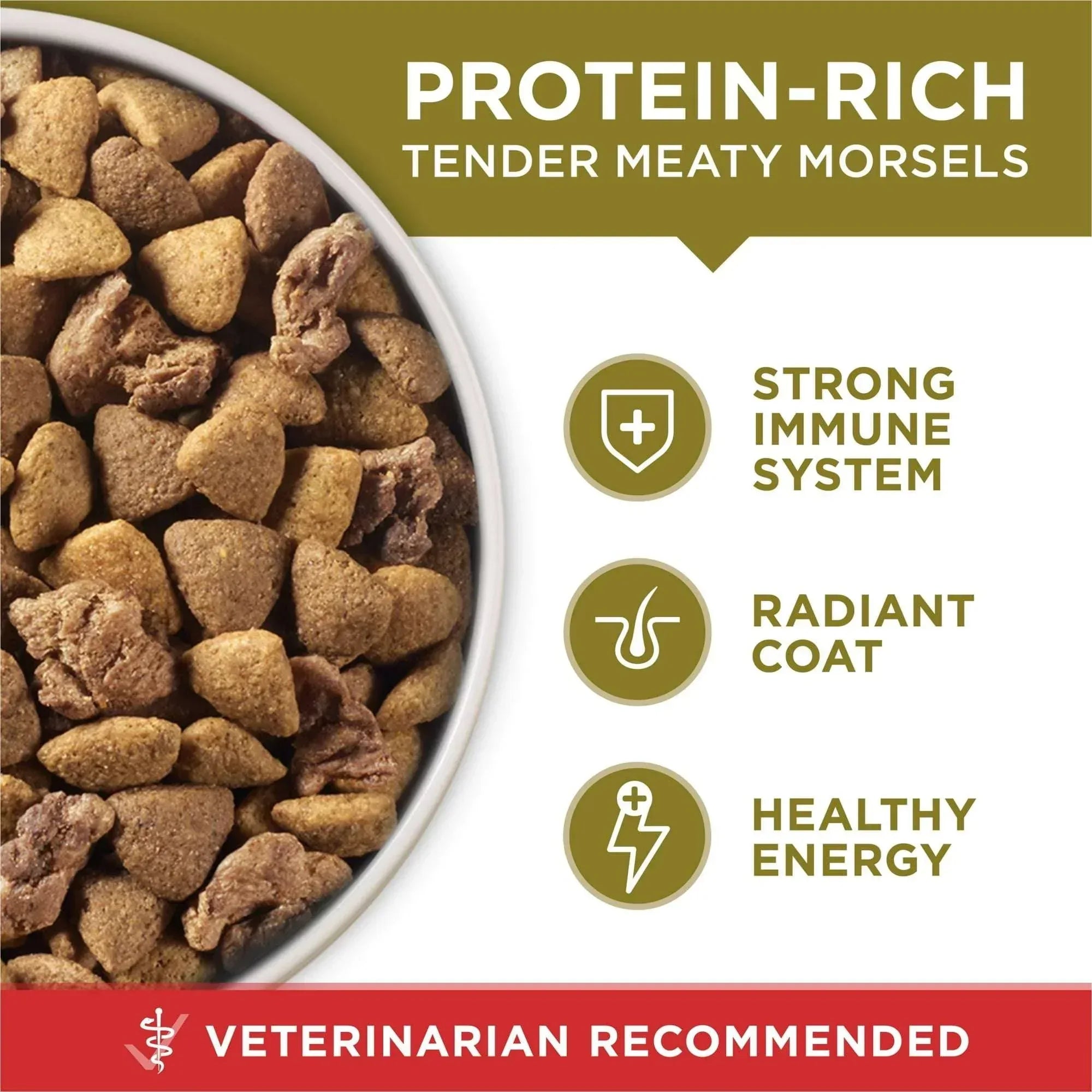 Purina ONE Dry Dog Food Lamb and Rice Formula