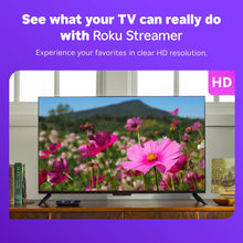 HD TV screen displaying a flower garden video