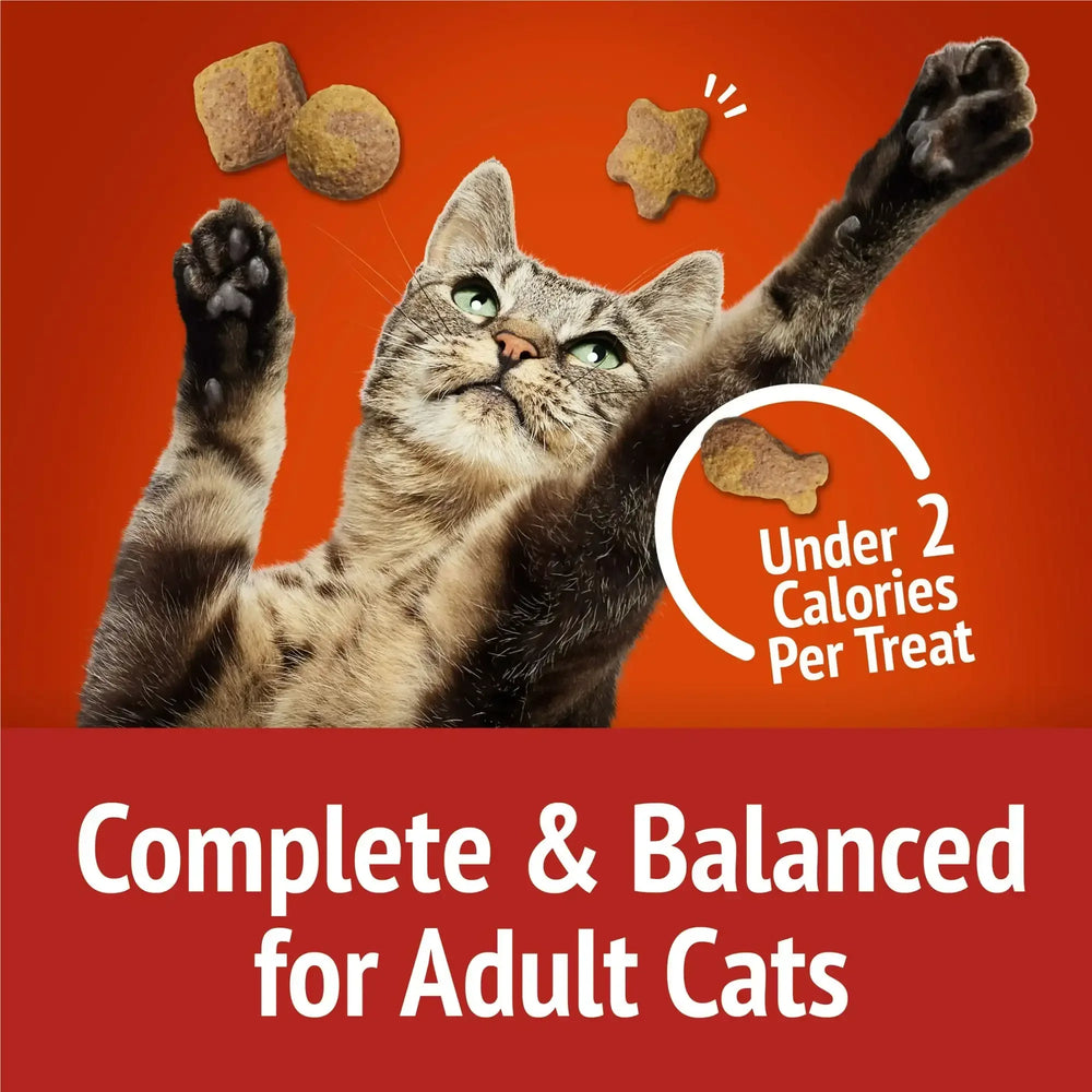 Purina Friskies Party Mix Gravy-licious, Cat Treats, Chicken & Gravy, 6 oz Bag - USA MEGA SHOP