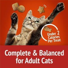 Purina Friskies complete and balanced for adult cats graphic with cat and treats