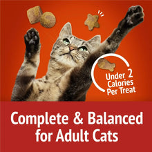 Cat treat bag with tabby cat and under 2 calories per treat badge.