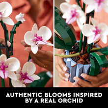 LEGO orchid model with pink-and-white blossoms on green stems, shown during assembly