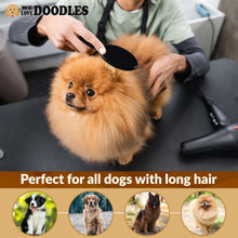 Black pin dog grooming brush with gold pins, held to groom fluffy dog