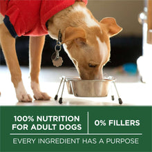 Small dog eating from metal bowl; "100% nutrition for adult dogs" and "0% fillers"
