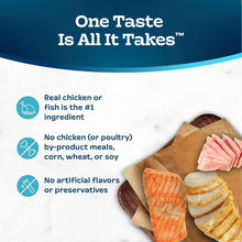 Wet cat food pate variety pack tray with mixed salmon, chicken, and ocean fish slices