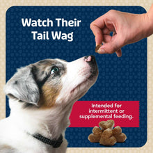 Training treat bites with hand offering treats to a dog
