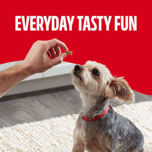 Dog treat serving scene with hand offering bones to a white-and-gray dog