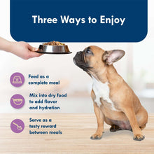 Small dog with metal bowl and serving suggestions for wet dog food