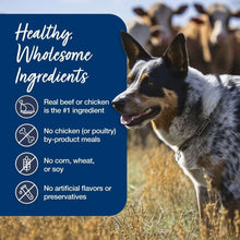 Dog beside 'Healthful, Wholesome Ingredients' panel for wet dog food