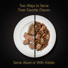 Wet dog food serving suggestions showing wet food pieces and kibble together or alone