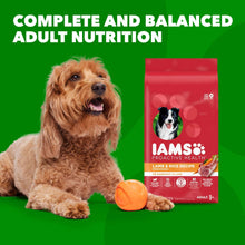 Dry dog food bag with adult dog, IAMS Proactive Health Minichunks lamb & rice