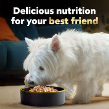 Westie dog eating from a bowl with text 'Delicious nutrition for your best friend'