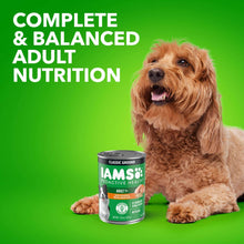 IAMS Proactive Health complete balanced adult wet dog food can with dog