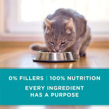 Purina ONE grain-free wet cat food with cat eating from a stainless steel bowl