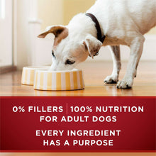 Adult dog eating wet food from striped bowl; 0% fillers and 100% nutrition