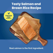 Salmon and brown rice recipe dry dog food in a paper pouch package