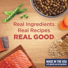 Dry dog food ingredients graphic with peas, carrots, salmon, and rice