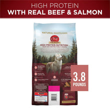 3.8-pound dry dog food bag front showing high protein real beef and salmon.