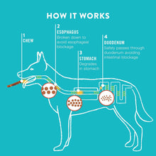 Dog digestion graphic showing how colla-roll chews work on a dog diagram