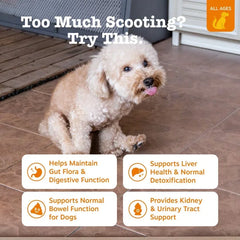 Zesty Paws Scoot Away Bites for Dogs, Digestive Support Functional Dog Supplement, Chicken Flavor, 90 Count Soft Chews - USA MEGA SHOP