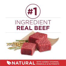 Real beef ingredient display with #1 badge and beef cubes over small kibble