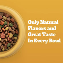 Kibble bowl concept with natural flavors and great taste text