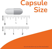 Gel capsule beside a measurement ruler for size comparison