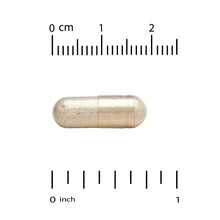 Probiotic veggie capsule shown with size ruler scale, 0 to 2 cm