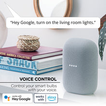 Smart speaker beside smart LED bulb setup for voice control