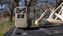 Beige cellular trail camera placed on a surface, front lens window facing forward.